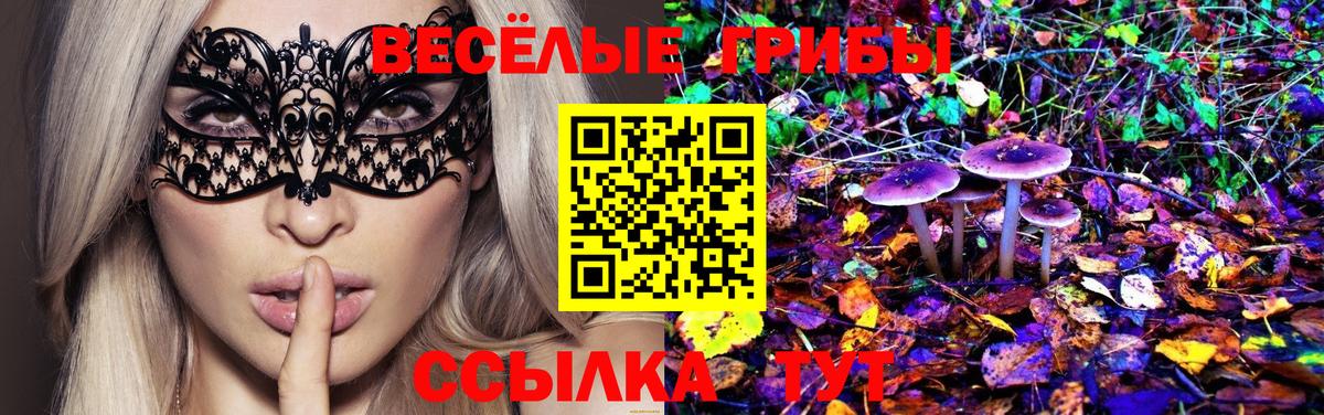 Псилоцибиновые грибы Psilocybine cubensis Кизилюрт