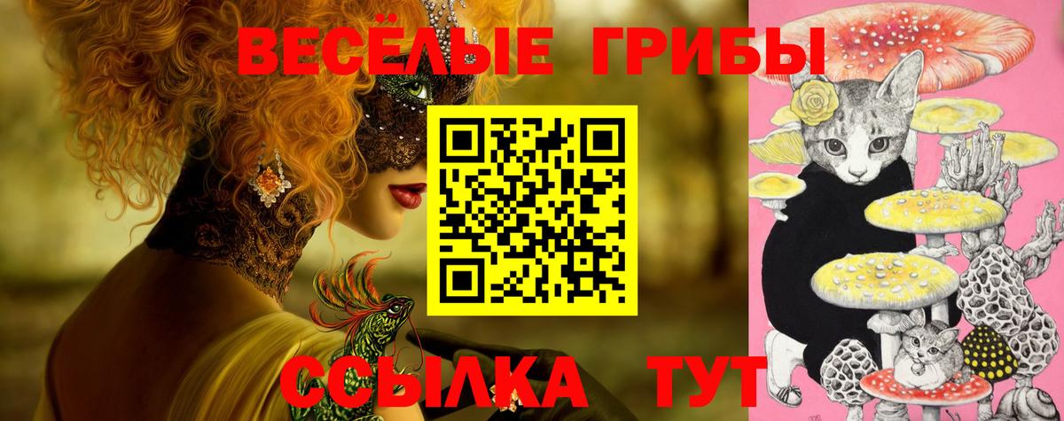 Галлюциногенные грибы Psilocybe  Галлюциногенные грибы Magic Shrooms  Кизилюрт  Вход с VPN 