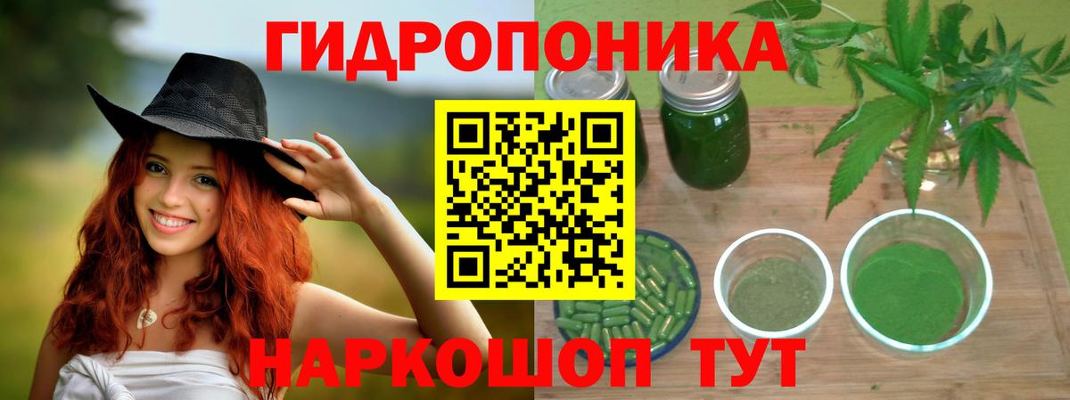 Марихуана SATIVA & INDICA  Вход с VPN  Конопля Ganja  Шишки марихуана SATIVA & INDICA  Кизилюрт 